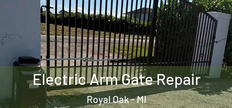 Electric Arm Gate Repair Royal Oak - MI