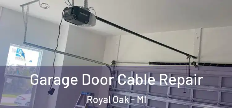  Garage Door Cable Repair Royal Oak - MI