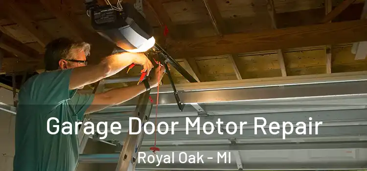  Garage Door Motor Repair Royal Oak - MI