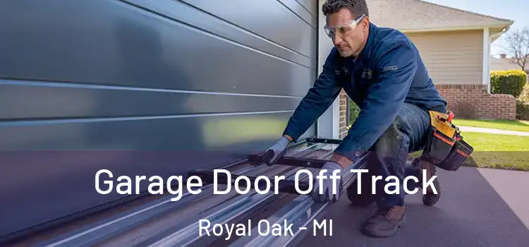  Garage Door Off Track Royal Oak - MI