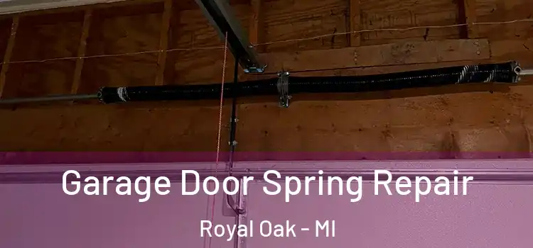  Garage Door Spring Repair Royal Oak - MI