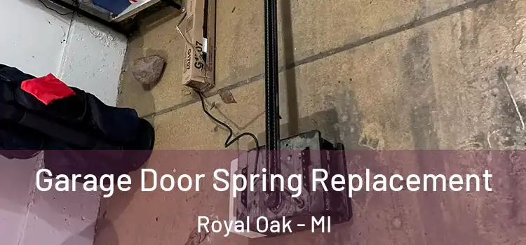  Garage Door Spring Replacement Royal Oak - MI