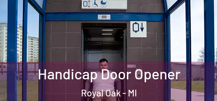 Handicap Door Opener Royal Oak - MI
