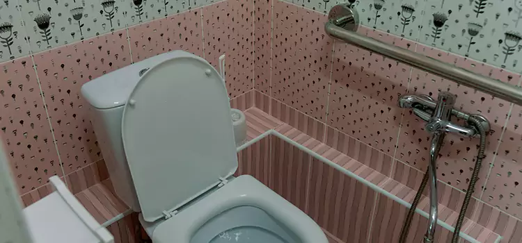 Meeting Diverse Needs With Accessible Restroom Solutions in Royal Oak, MI
